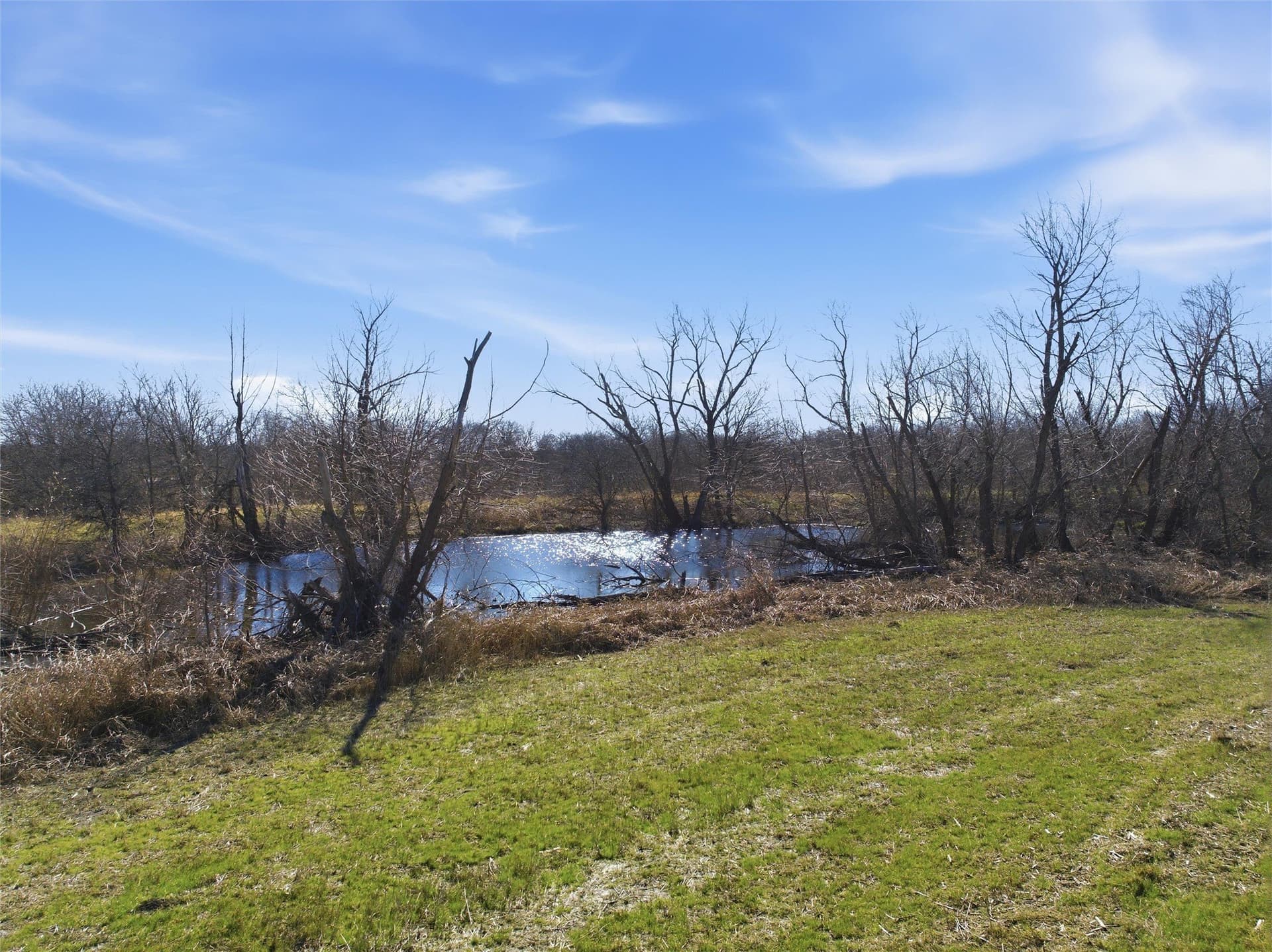 22.08 acres in Hill County - photo 15