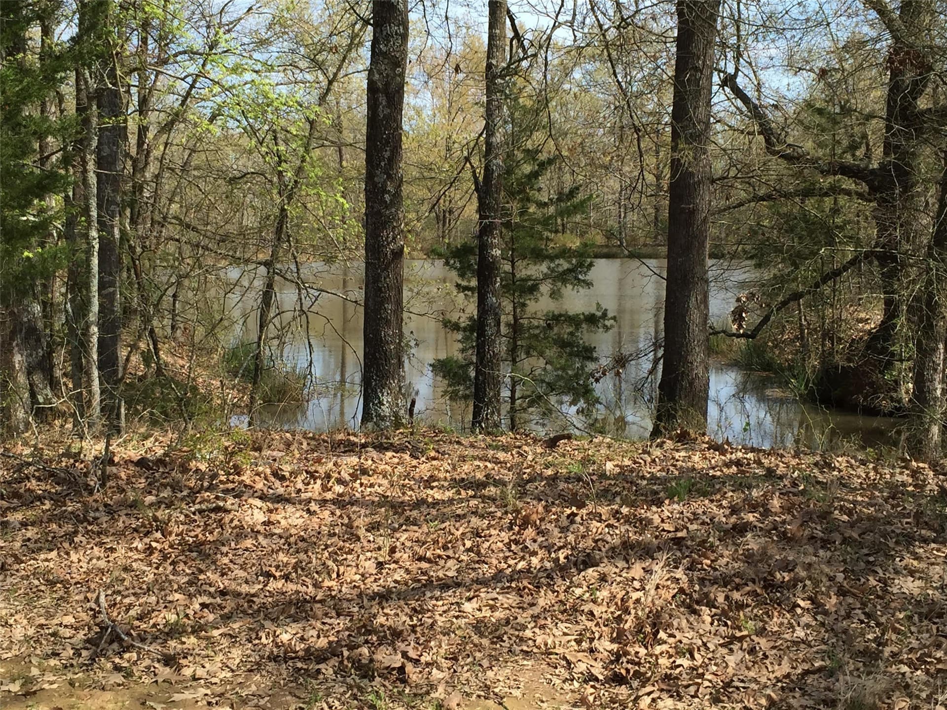 126.66 acres in Hopkins County - photo 7