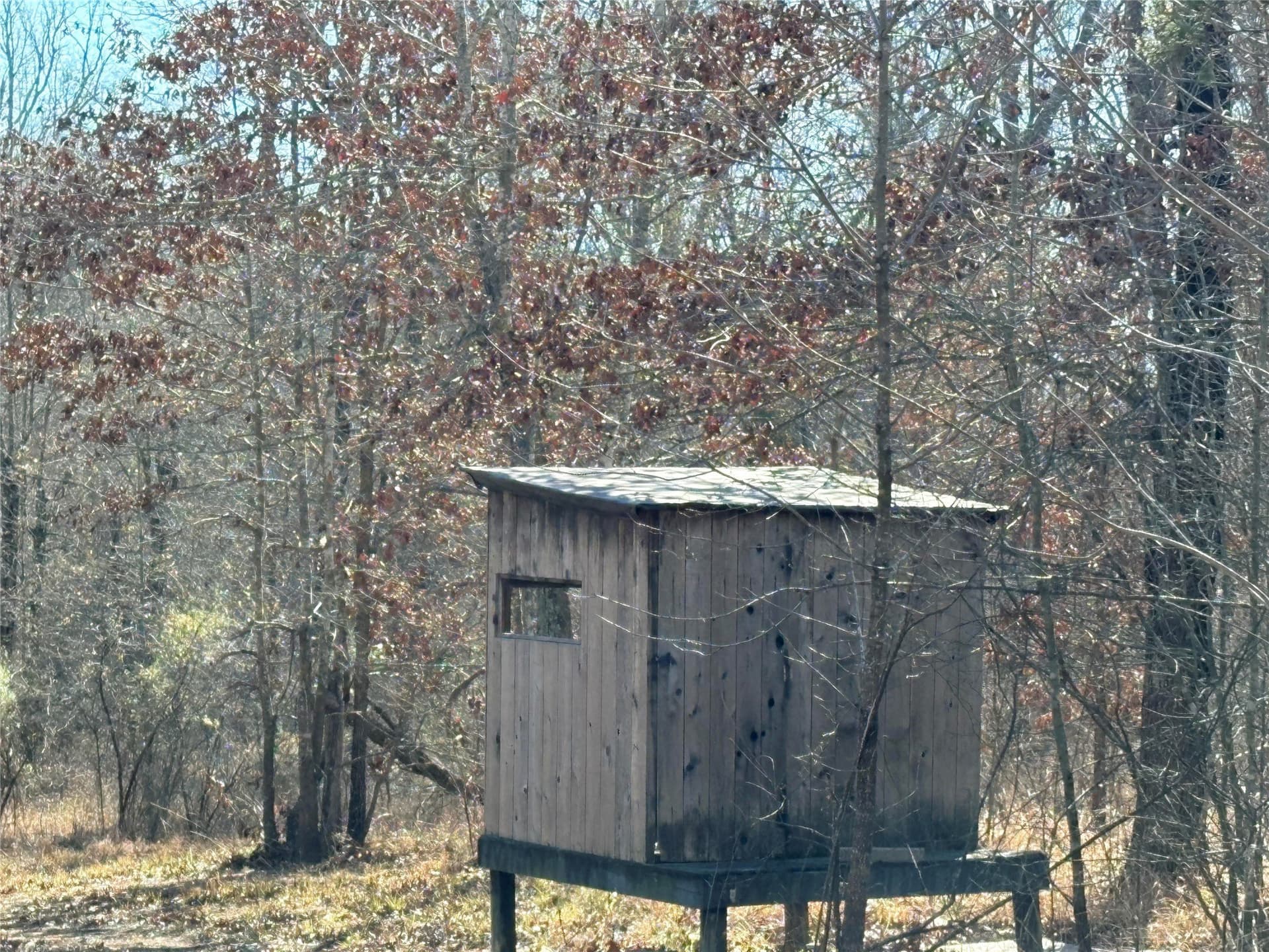 126.66 acres in Hopkins County - photo 13