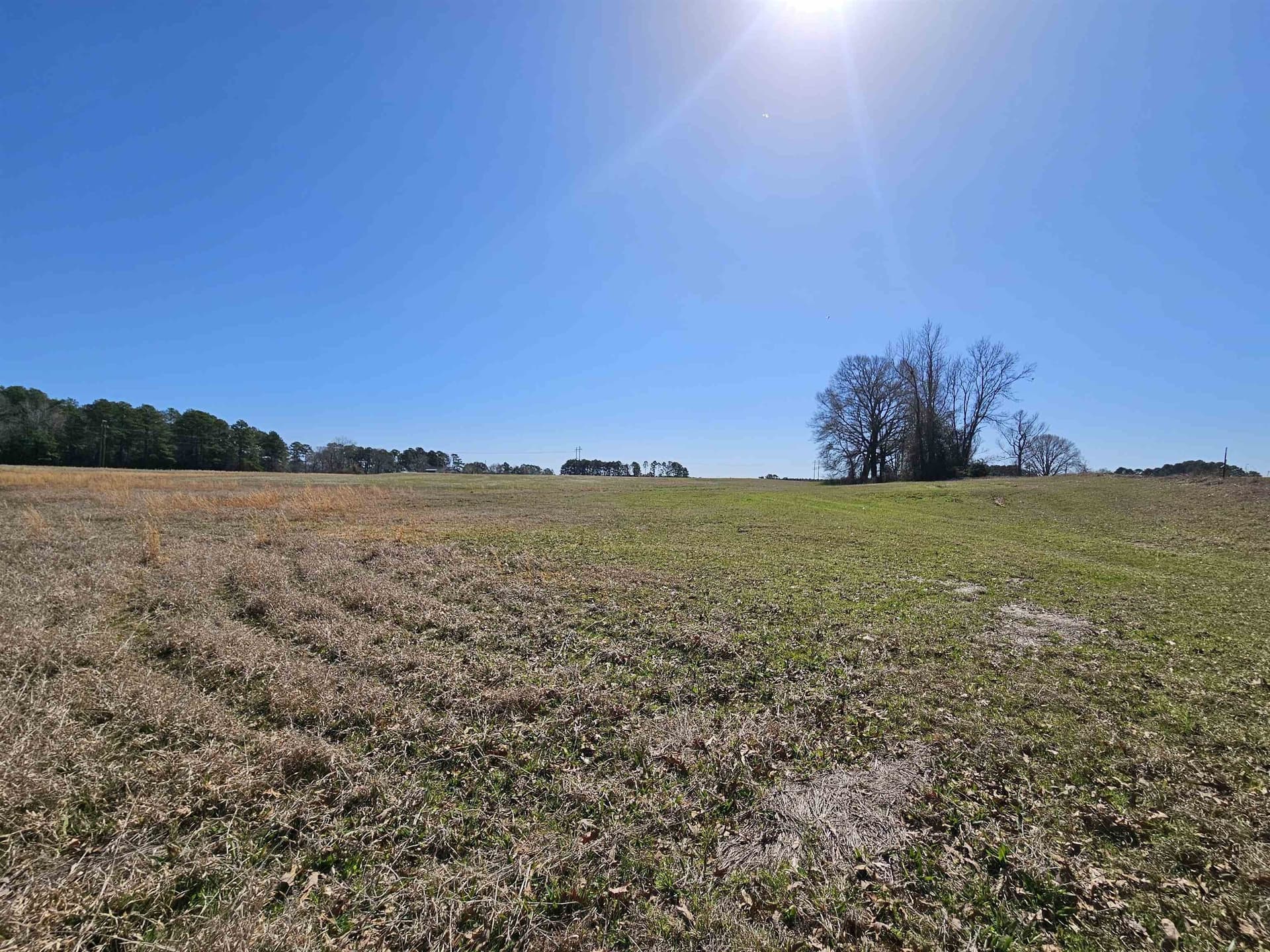 18.66 acres in Panola County featured view