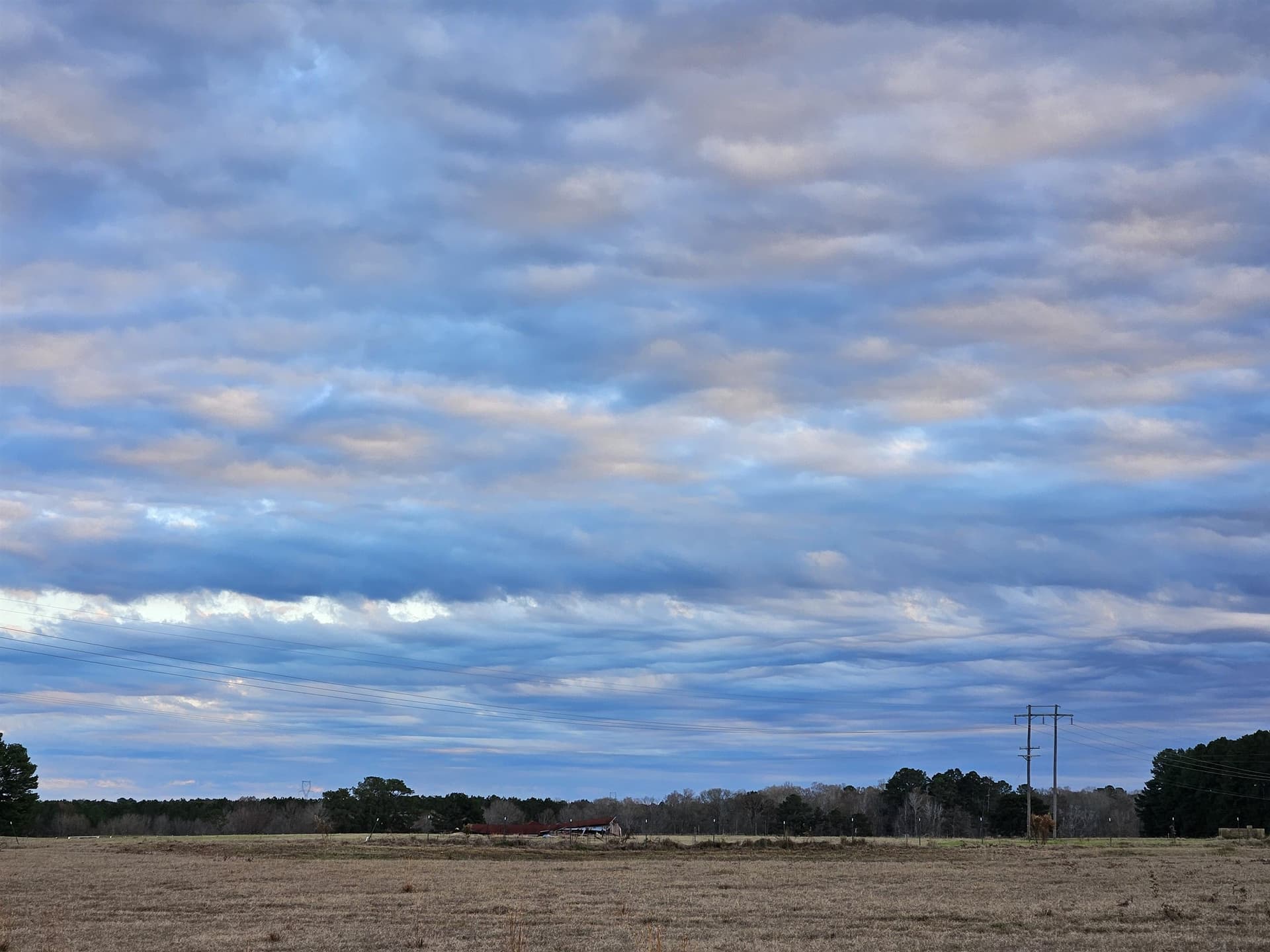 18.66 acres in Panola County gallery image 4