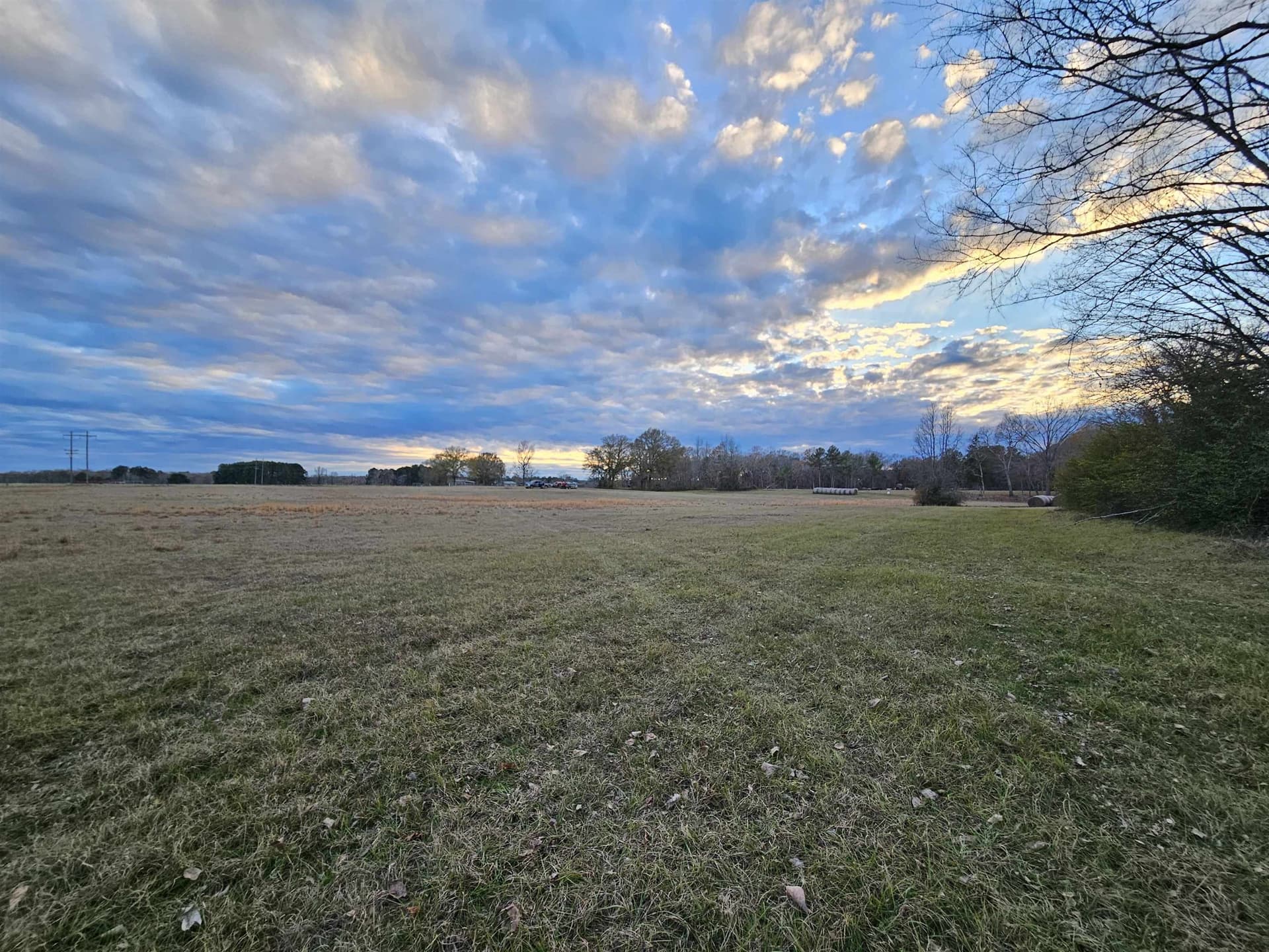 18.66 acres in Panola County gallery image 3