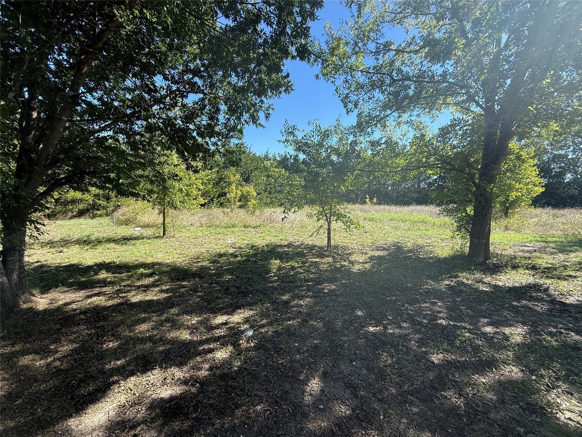 2.5 acres in Collin County - photo 8