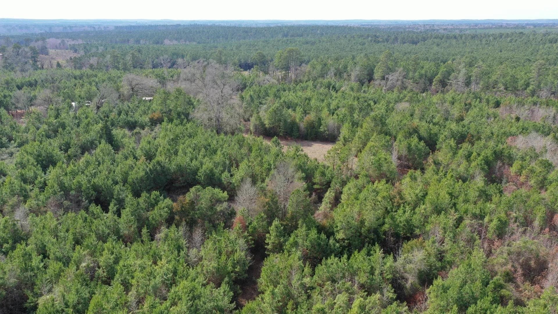 8 acres in Cass County - photo 3