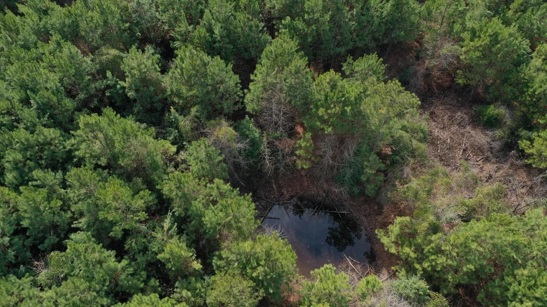 8 acres in Cass County - photo 4