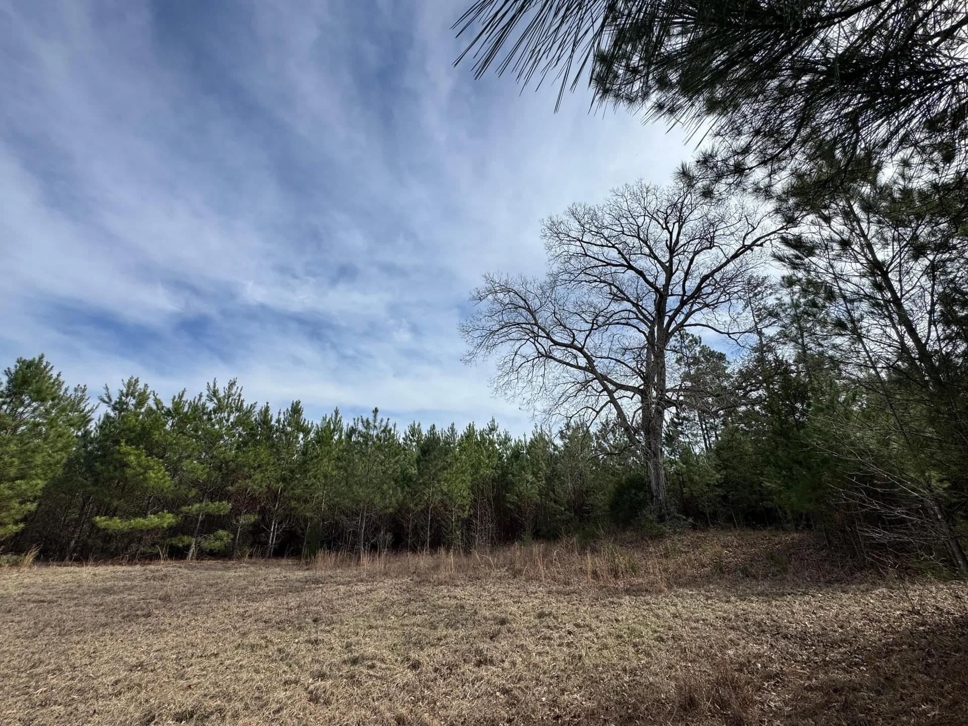 8 acres in Cass County - photo 7
