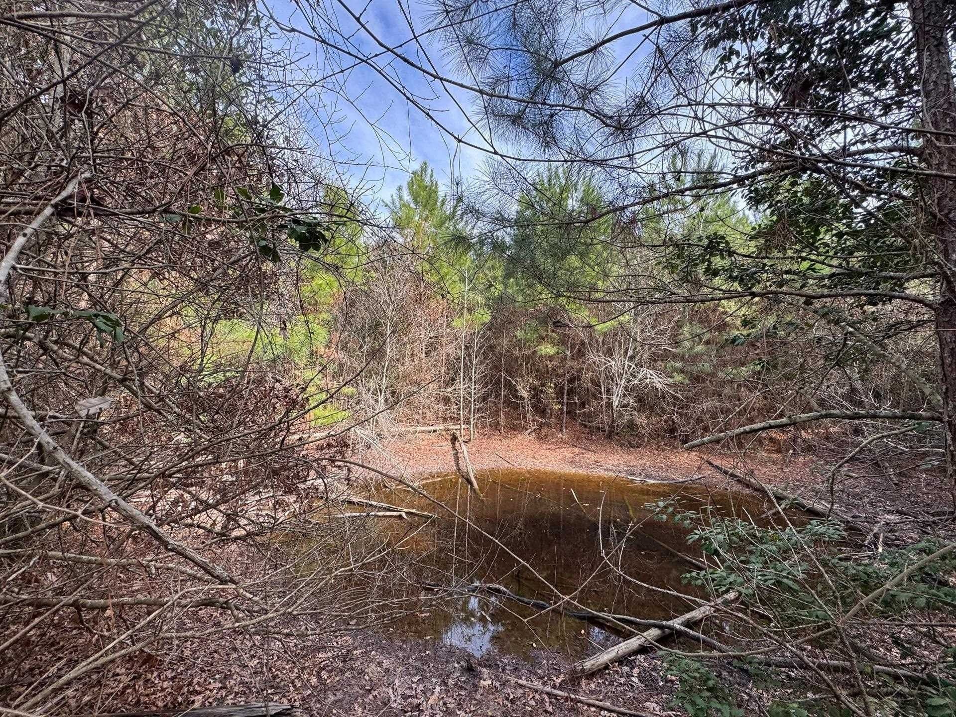 8 acres in Cass County - photo 11