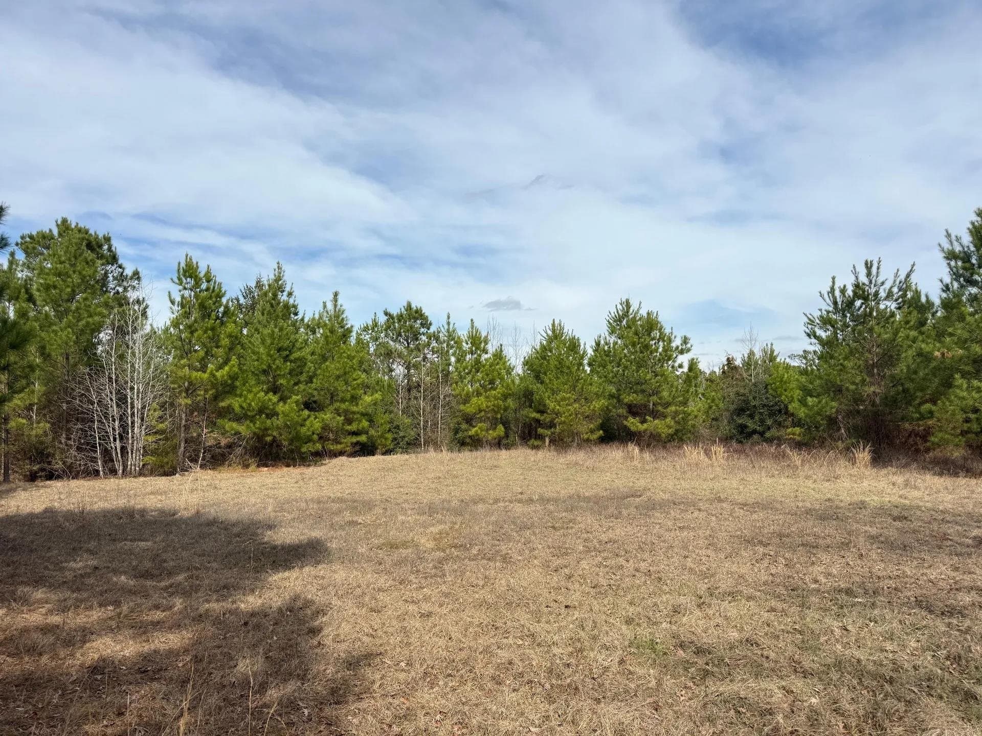 8 acres in Cass County - photo 13