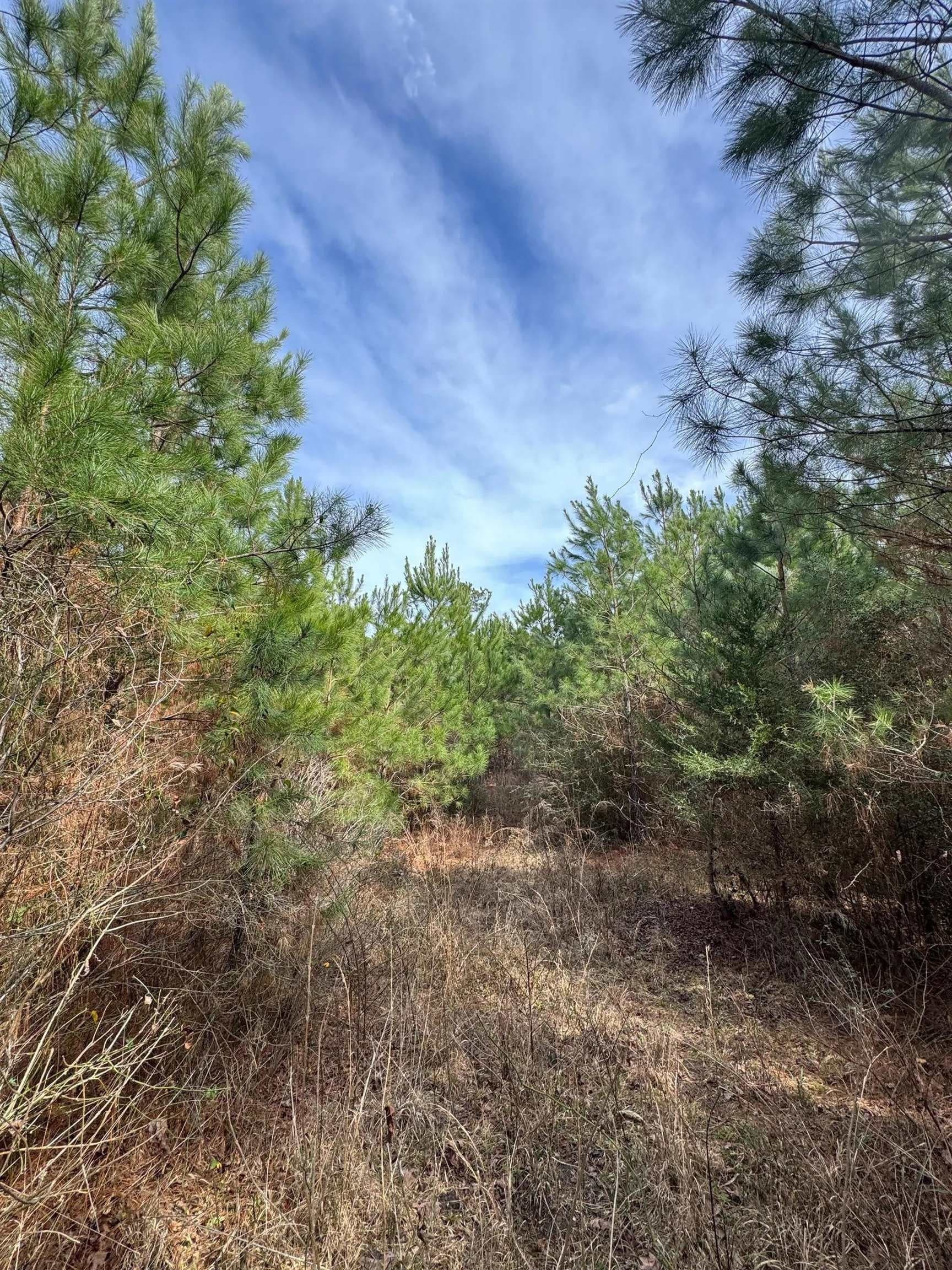 8 acres in Cass County - photo 14