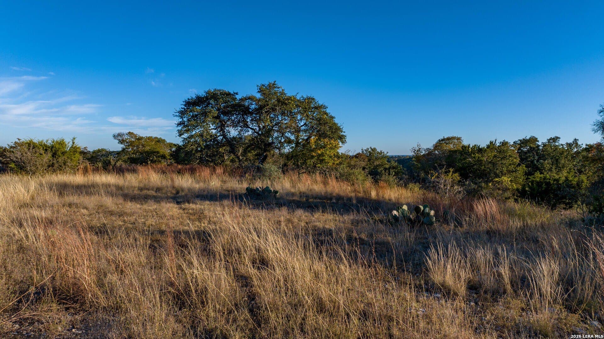 7.99 acres in Kendall County - photo 10