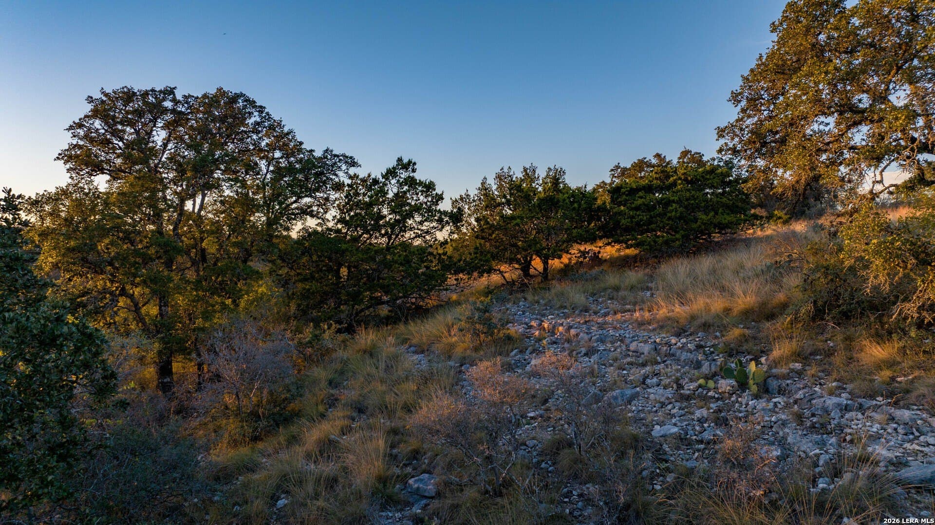 7.99 acres in Kendall County - photo 24