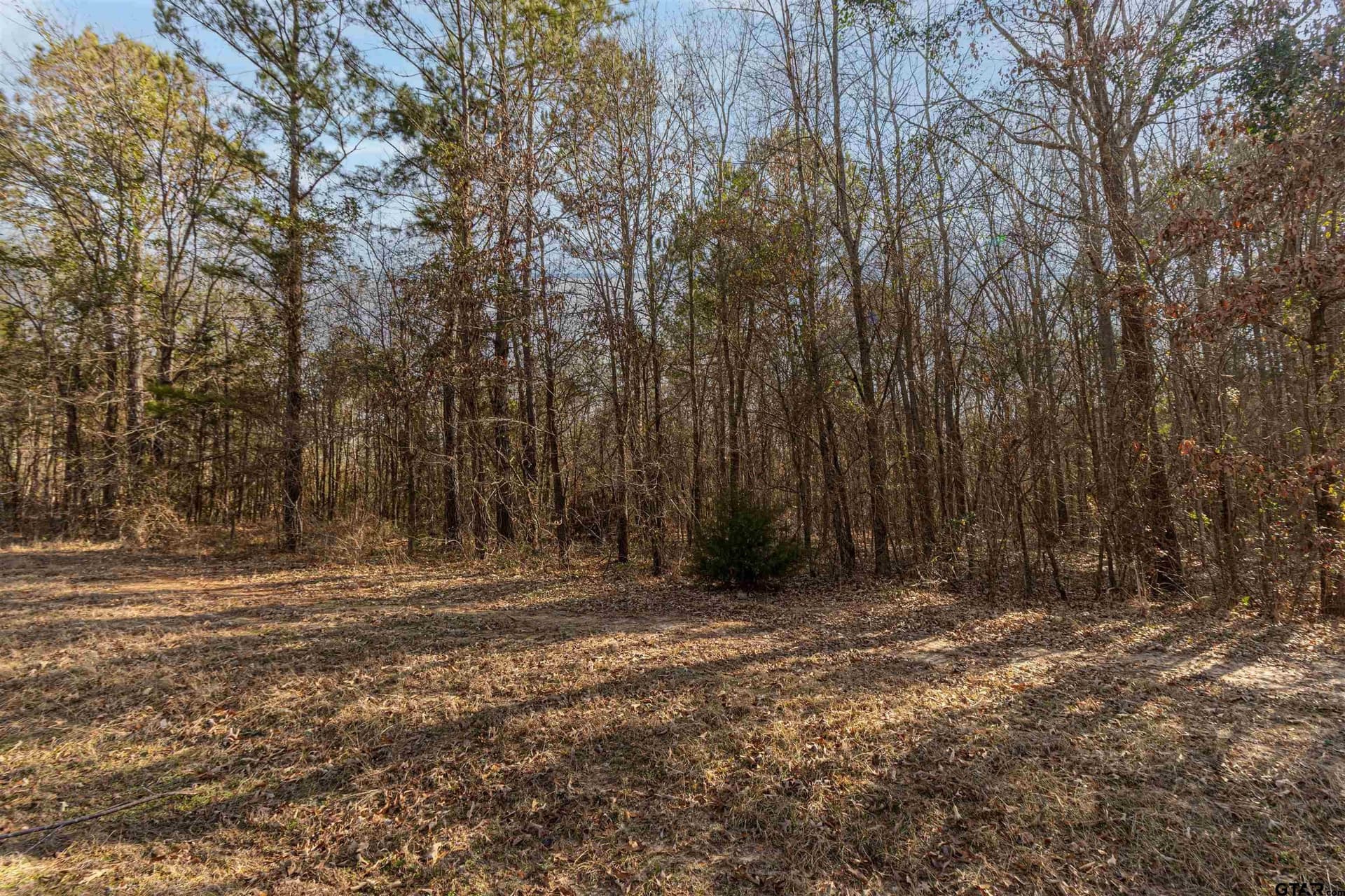 18.69 acres in Smith County gallery image 2
