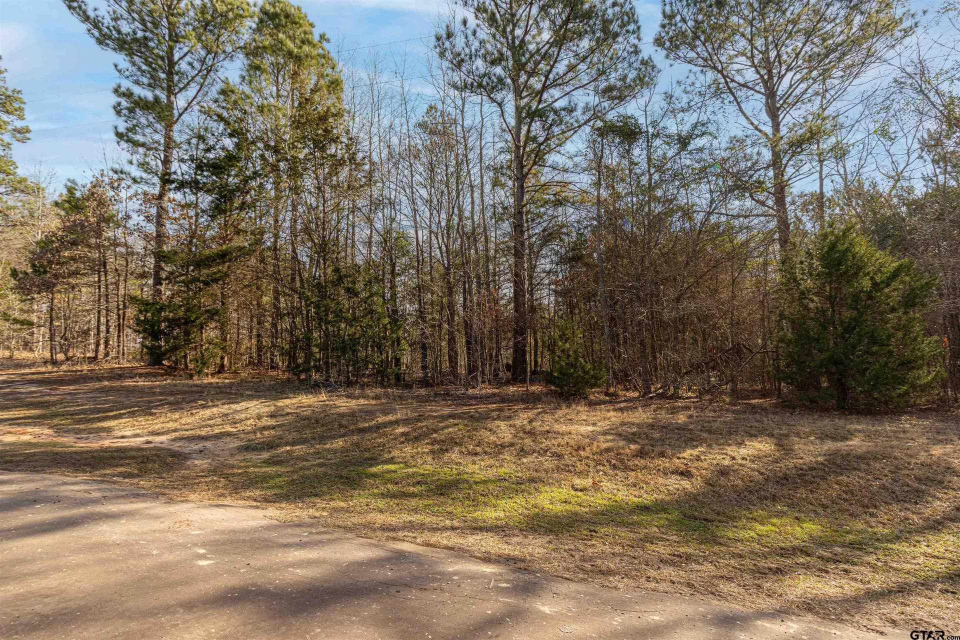 18.69 acres in Smith County gallery image 3