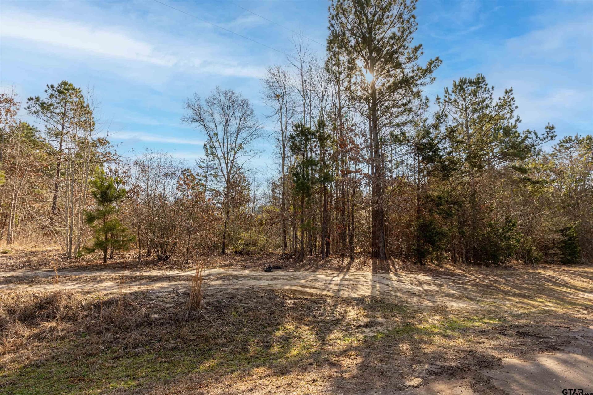 18.69 acres in Smith County featured view