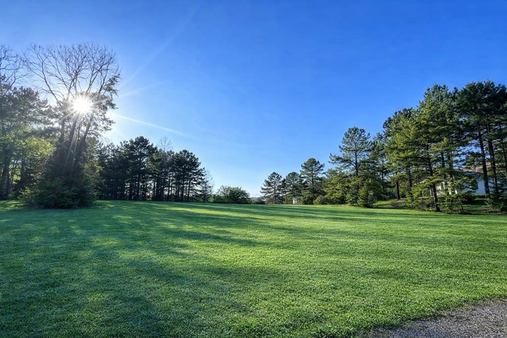 2.58 acres in Texas County gallery image 2