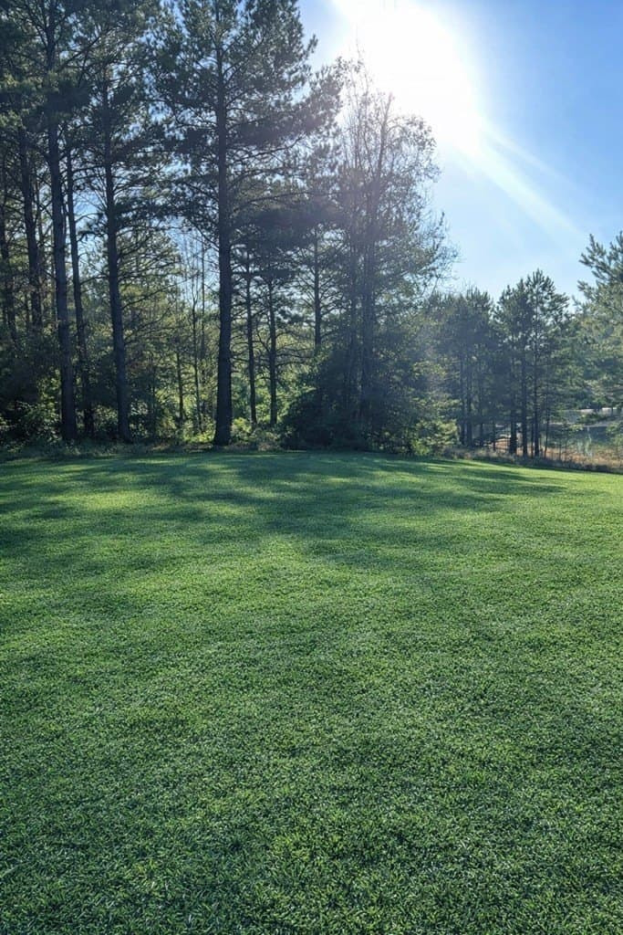 2.58 acres in Texas County gallery image 4