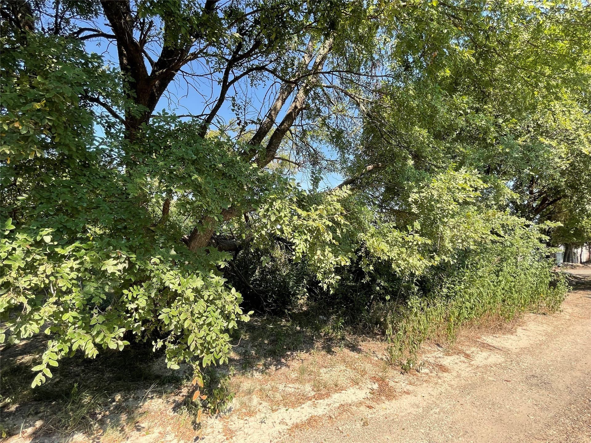 0.23 acres in Ellis County gallery image 4