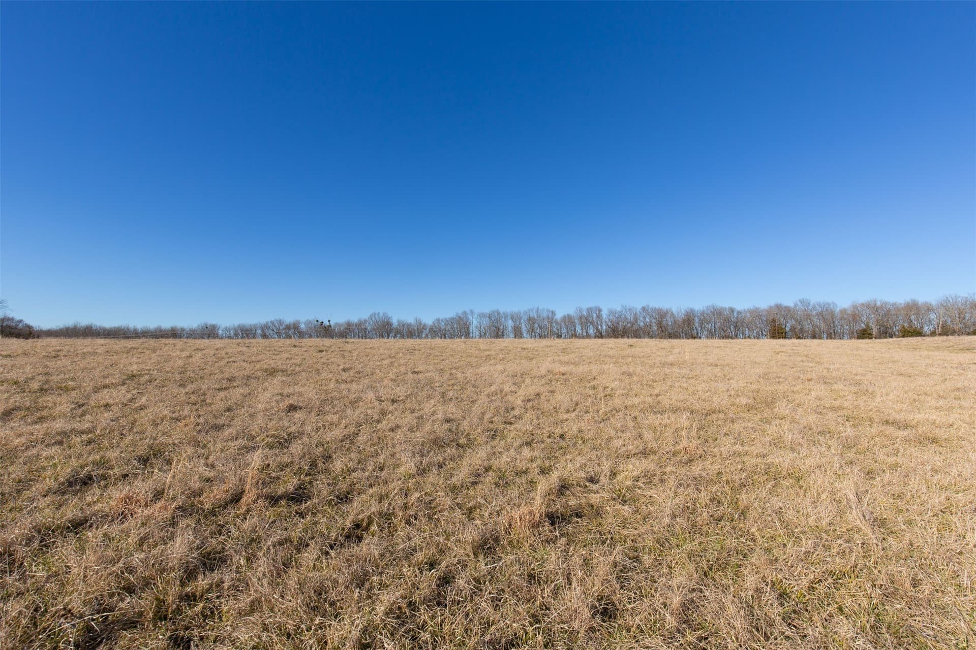 5.02 acres in Red River (TX) County - photo 9