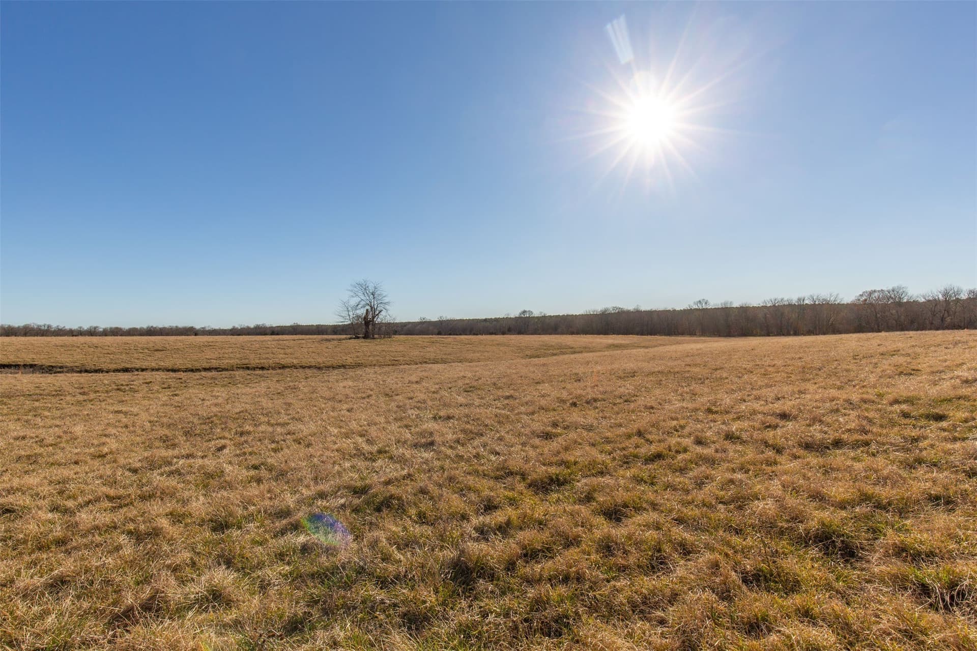 5.02 acres in Red River (TX) County - photo 11