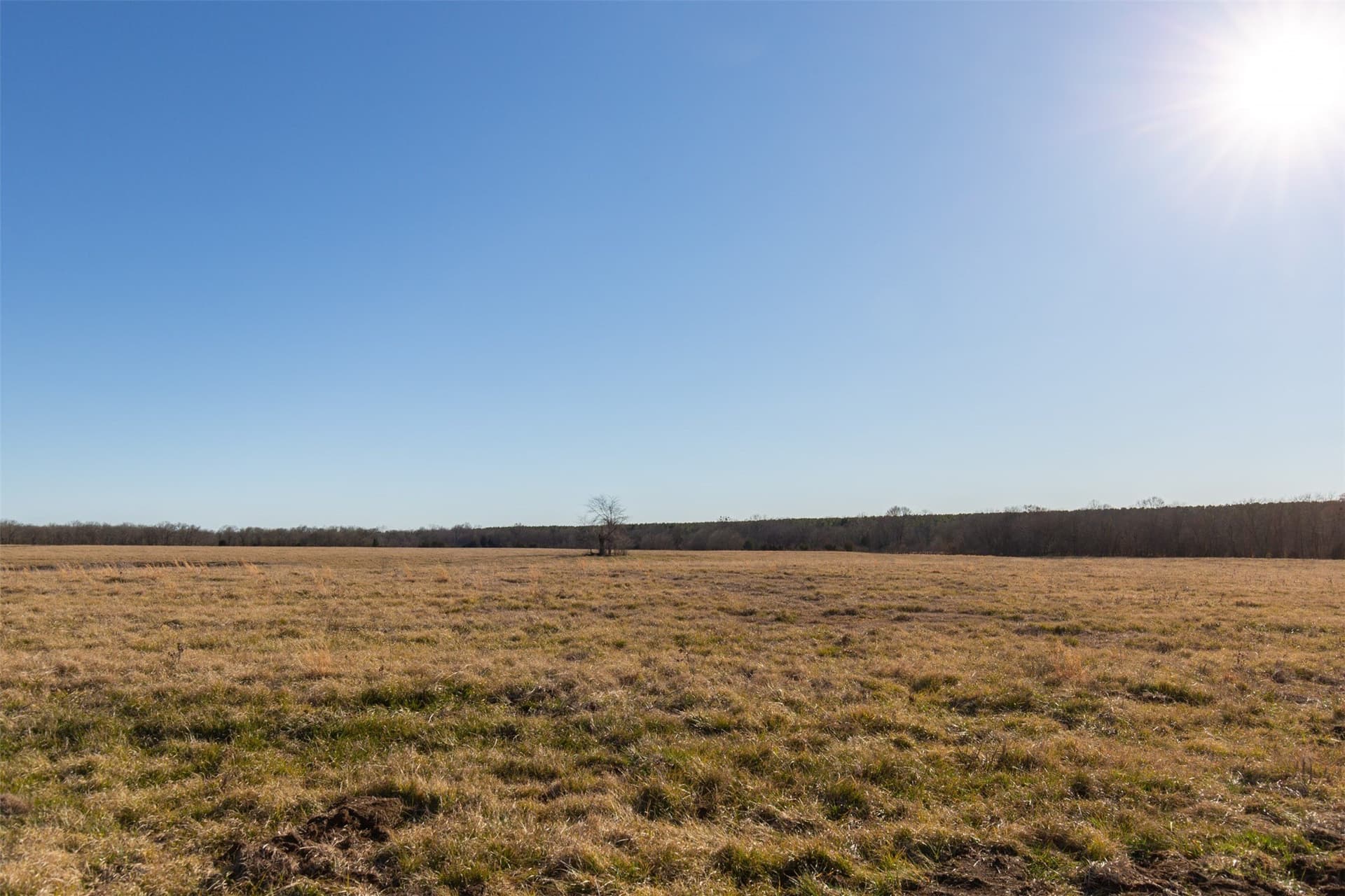 5.02 acres in Red River (TX) County - photo 23