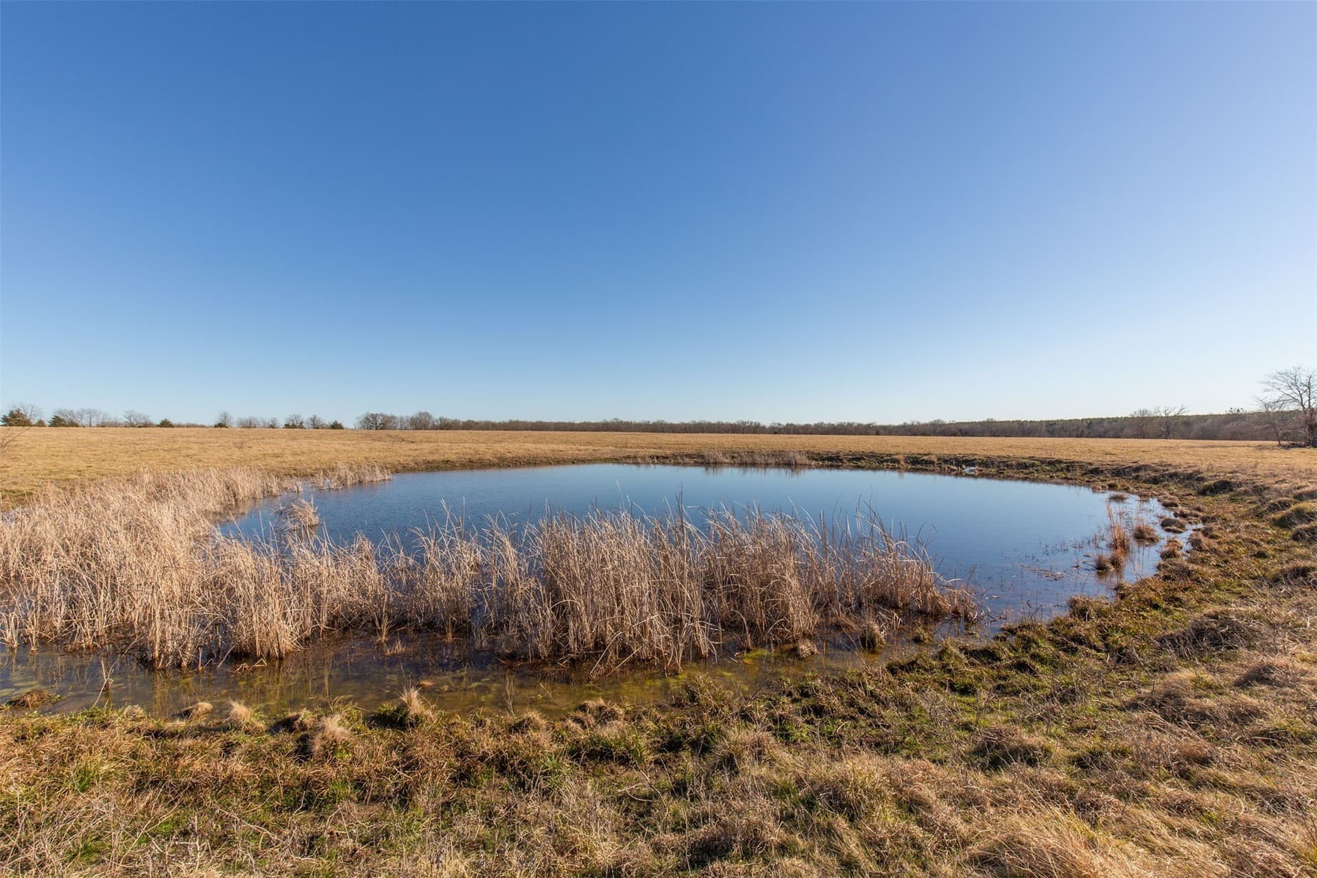 5.02 acres in Red River (TX) County - photo 20
