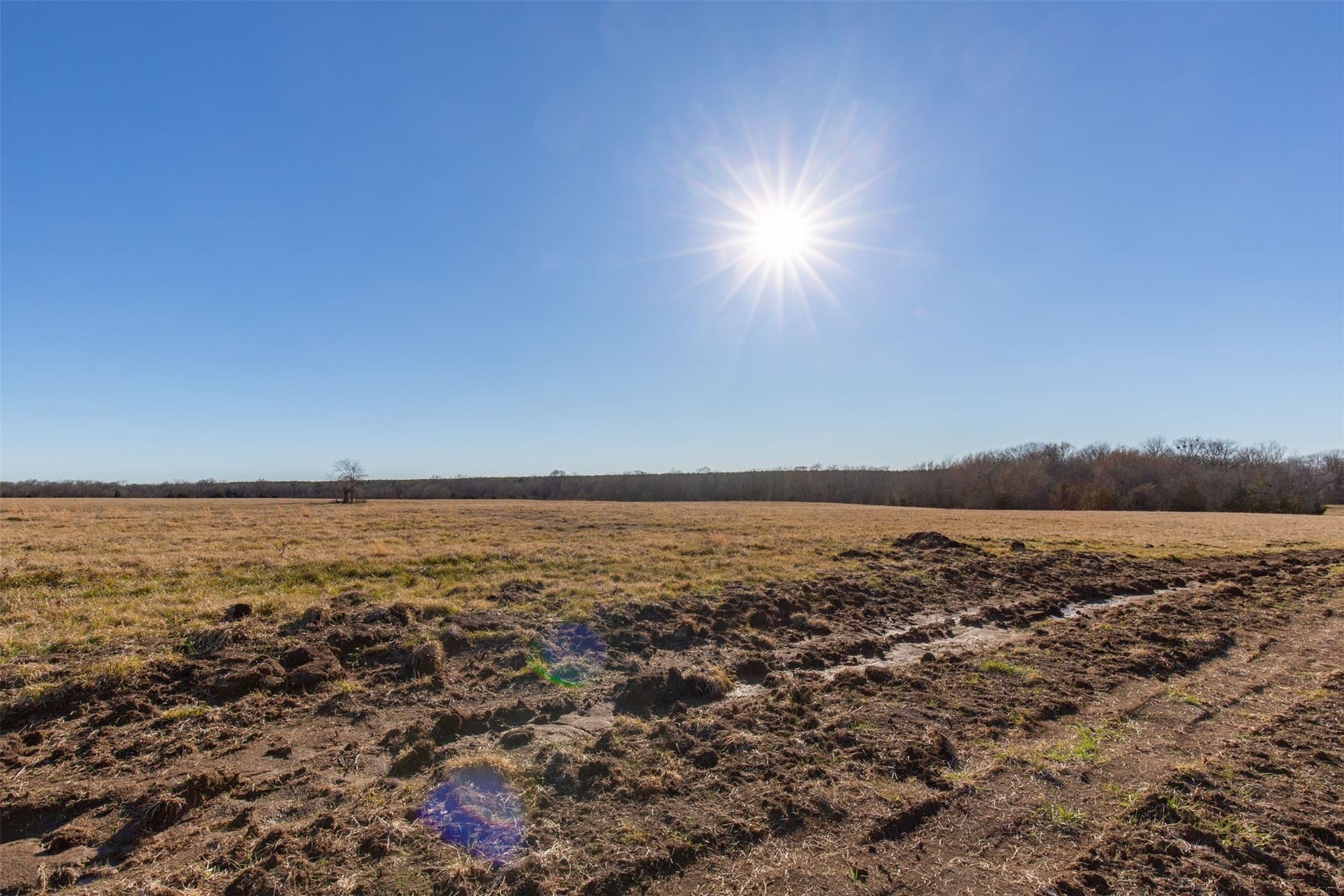 5.02 acres in Red River (TX) County - photo 22
