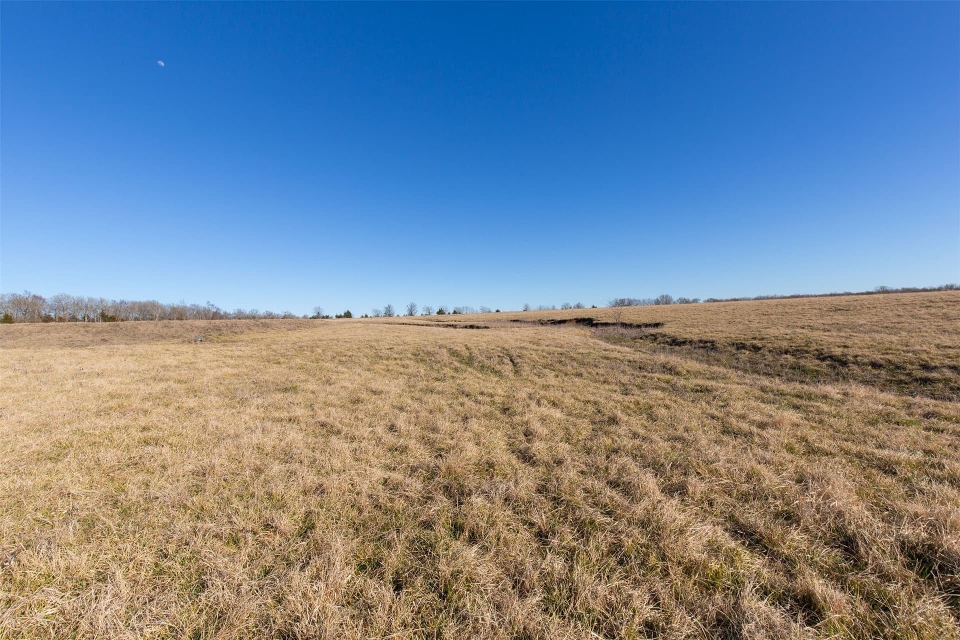 5.02 acres in Red River (TX) County - photo 8