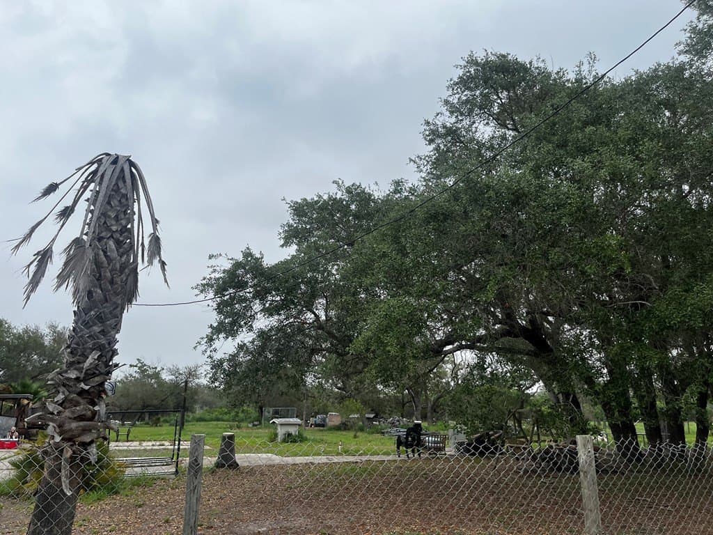 1 acres in Texas County - photo 8