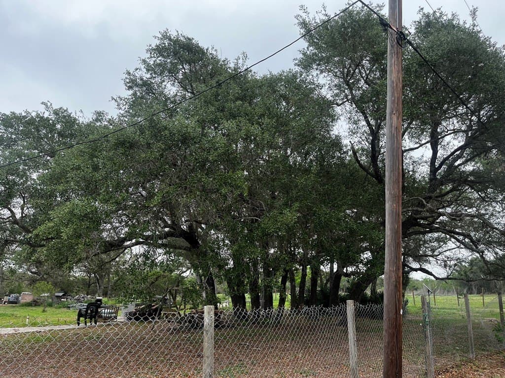 1 acres in Texas County - photo 9