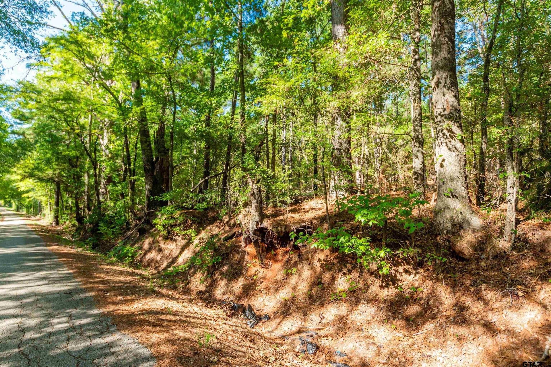 144.4 acres in Cherokee County - photo 9