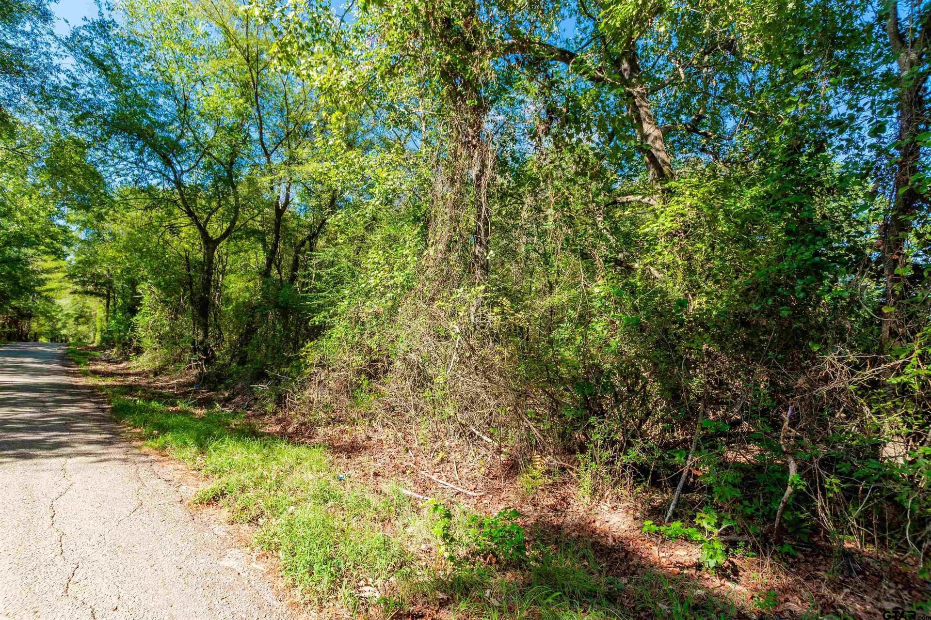 144.4 acres in Cherokee County - photo 11