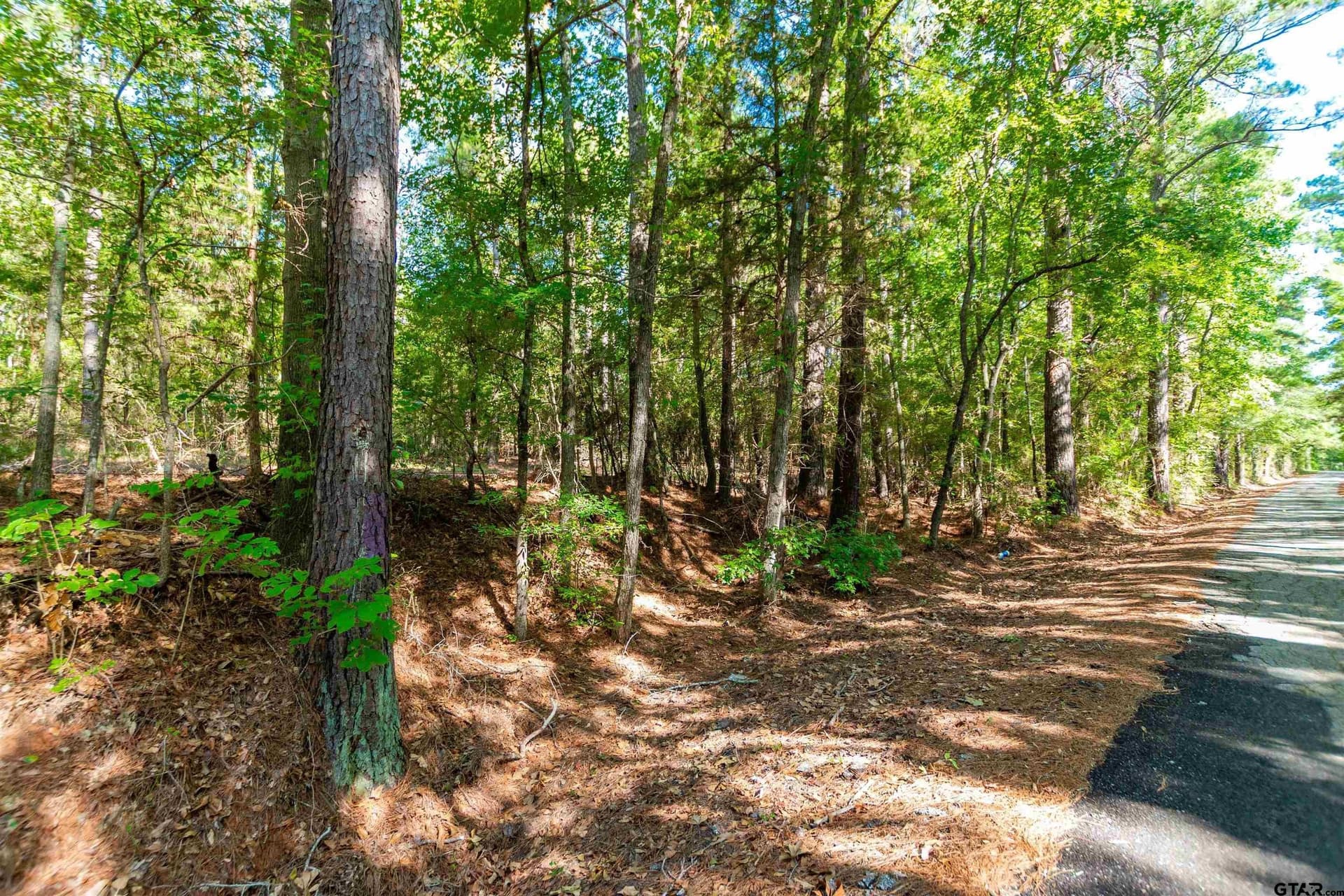 144.4 acres in Cherokee County - photo 10