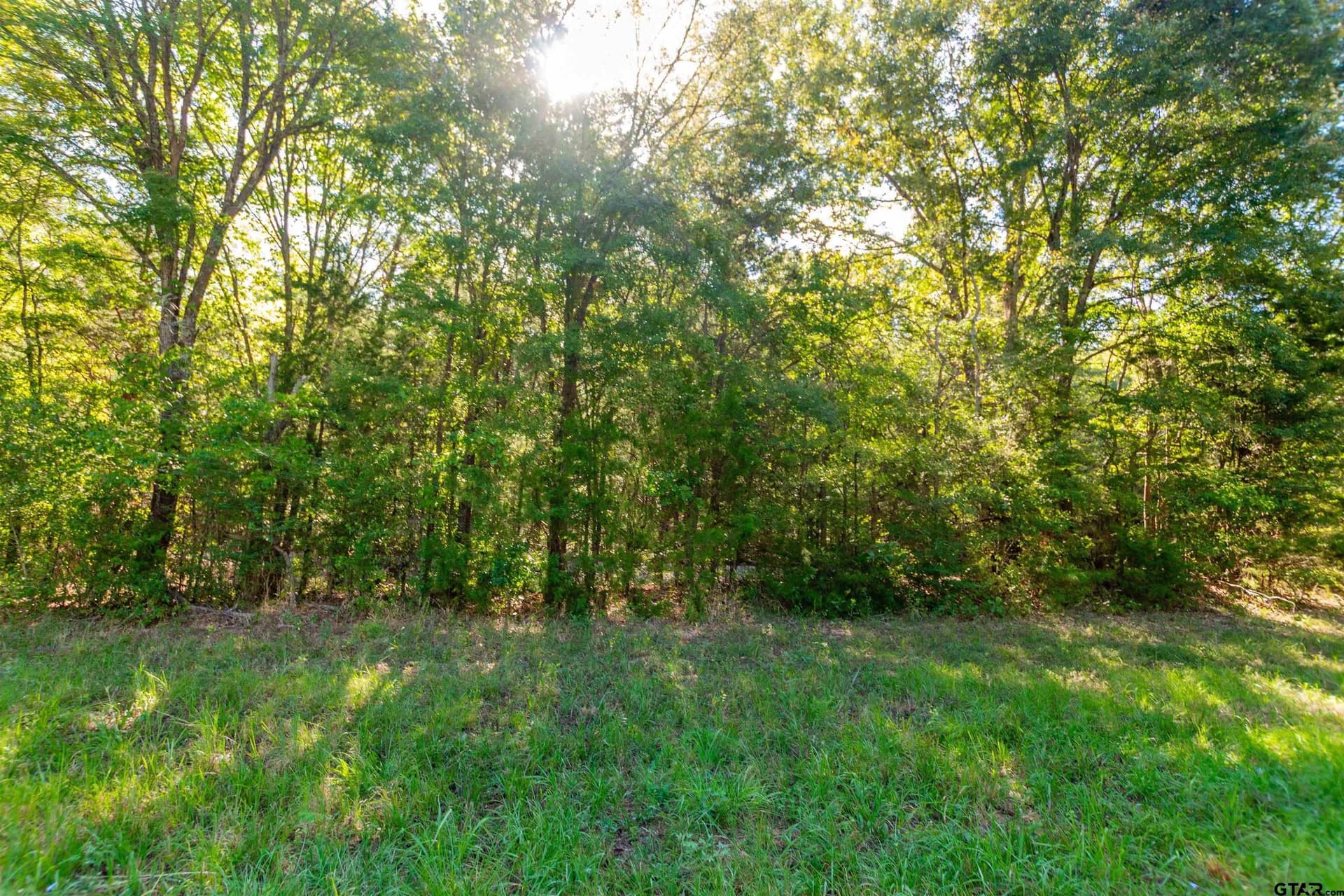 144.4 acres in Cherokee County - photo 4