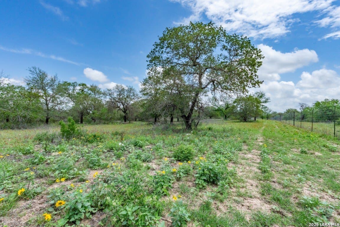 276 acres in Atascosa County - photo 33