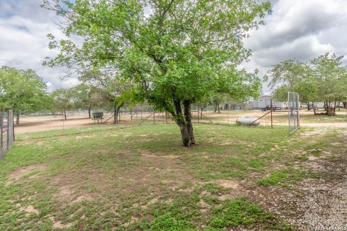 276 acres in Atascosa County - photo 22