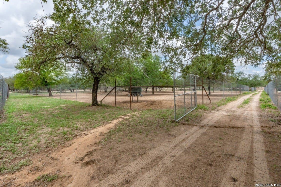 276 acres in Atascosa County - photo 11