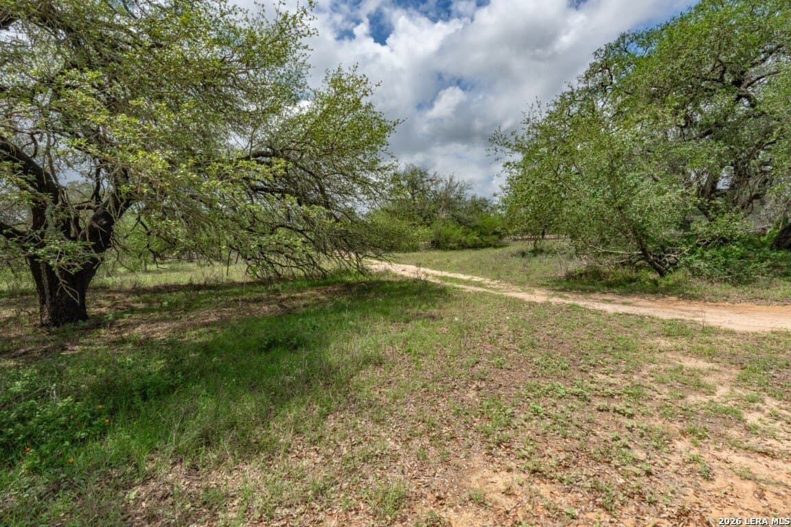 276 acres in Atascosa County - photo 36
