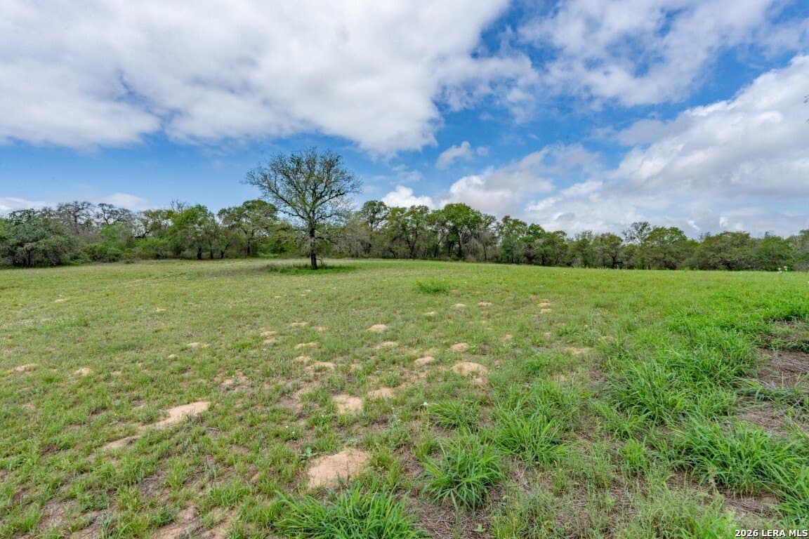 276 acres in Atascosa County - photo 27