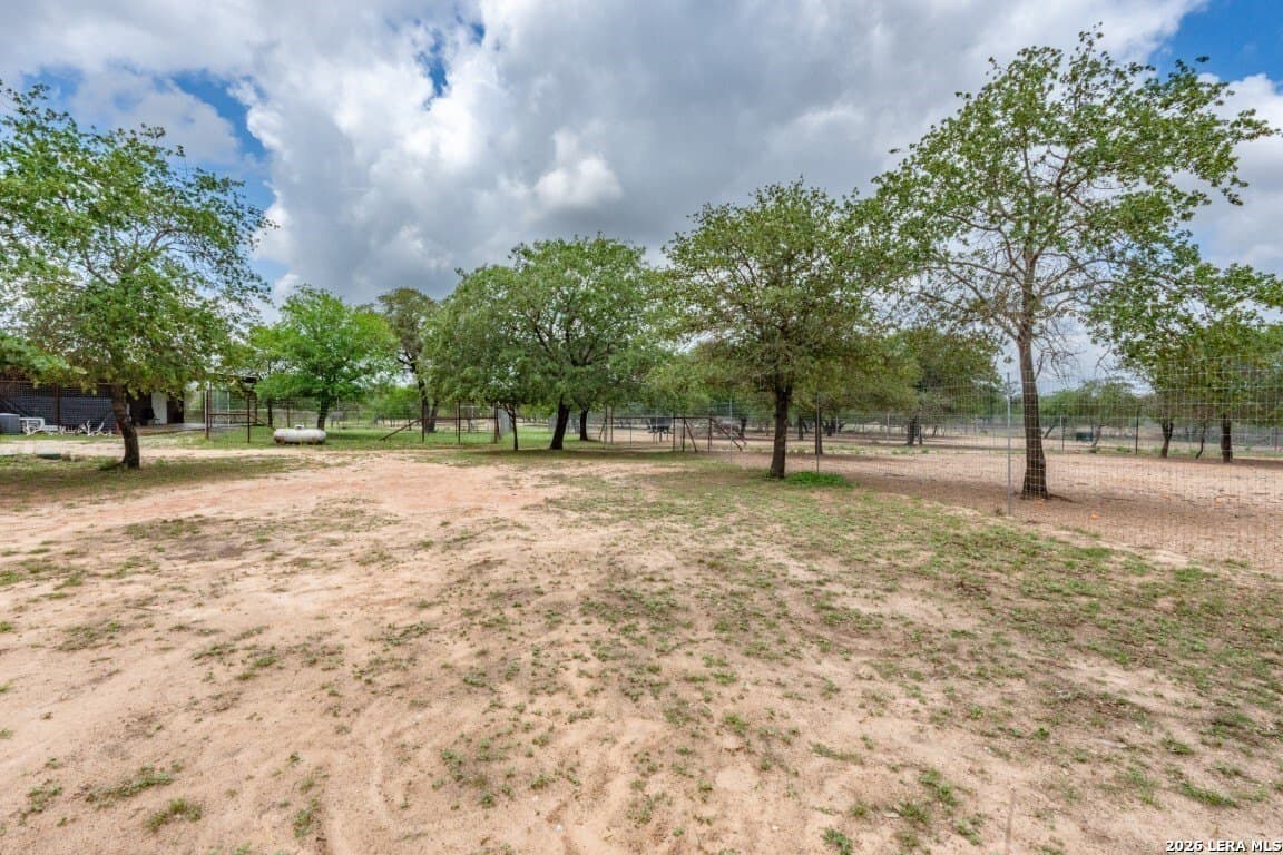 276 acres in Atascosa County - photo 10