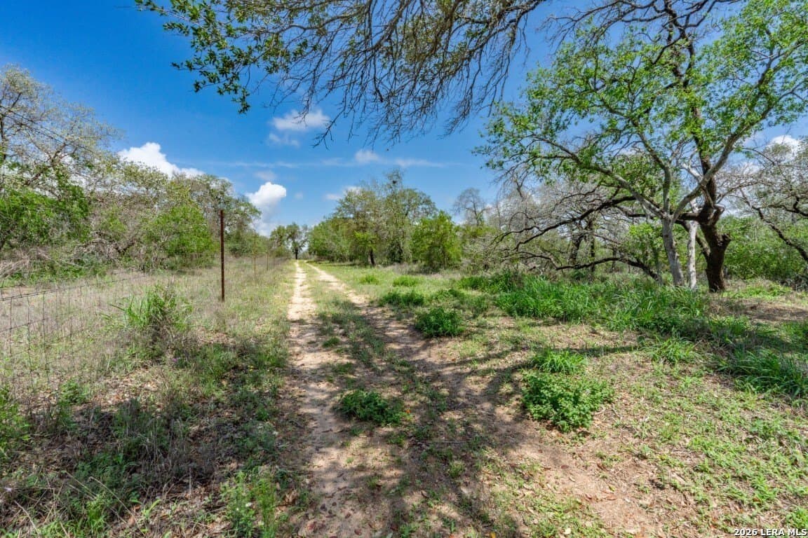 276 acres in Atascosa County - photo 32
