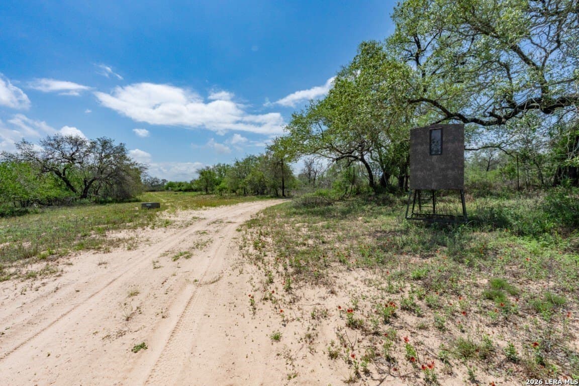 276 acres in Atascosa County - photo 31