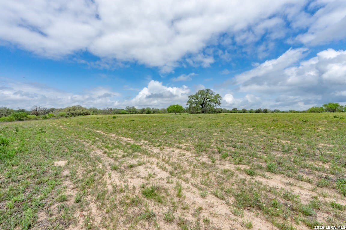 276 acres in Atascosa County - photo 29