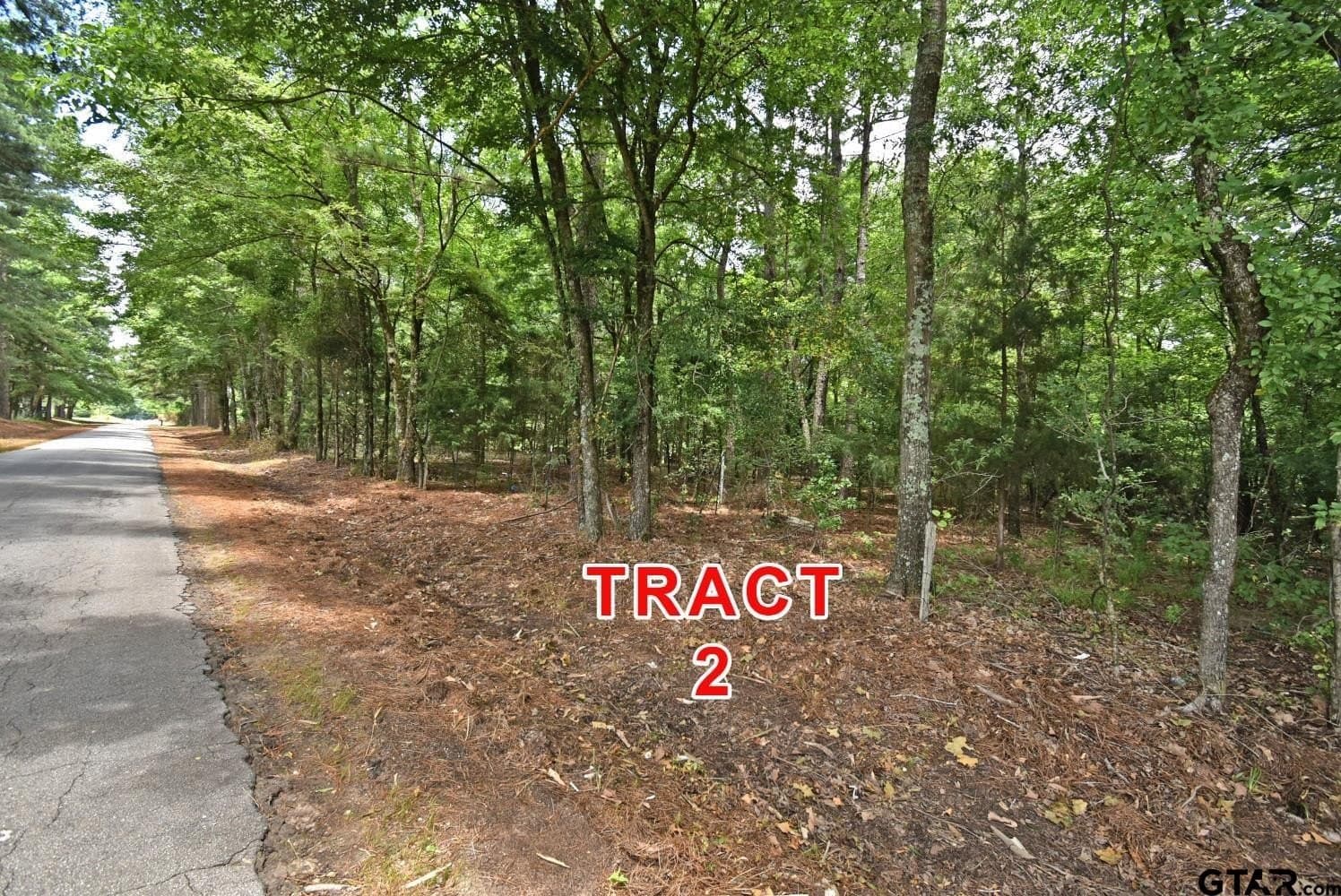 10 acres in Red River County - photo 5