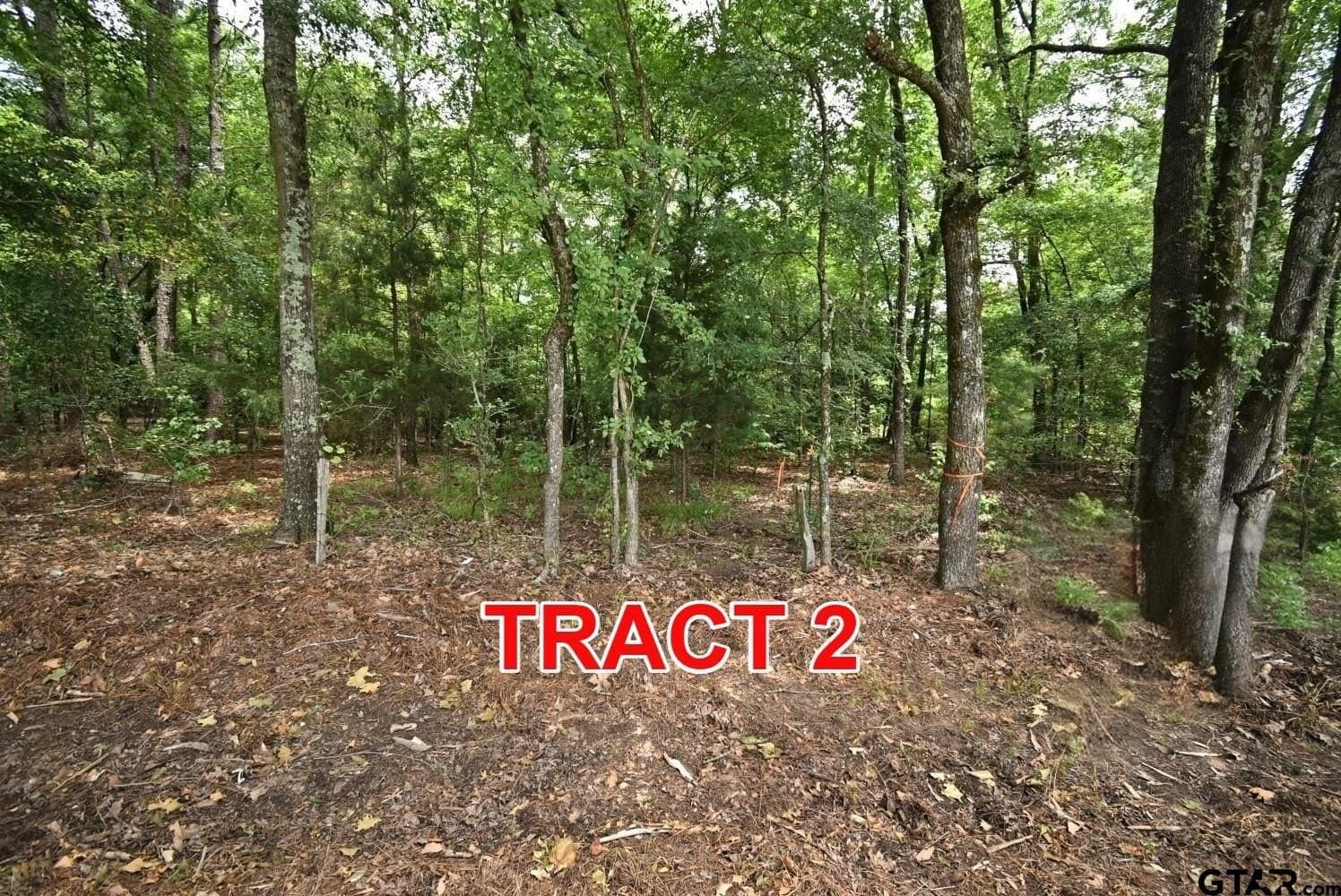 10 acres in Red River County - photo 3
