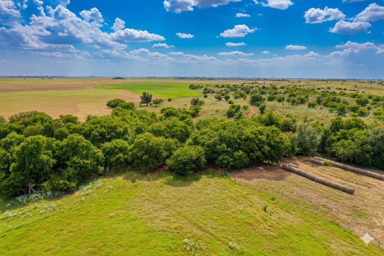 929.5 acres in Wilbarger County - photo 15