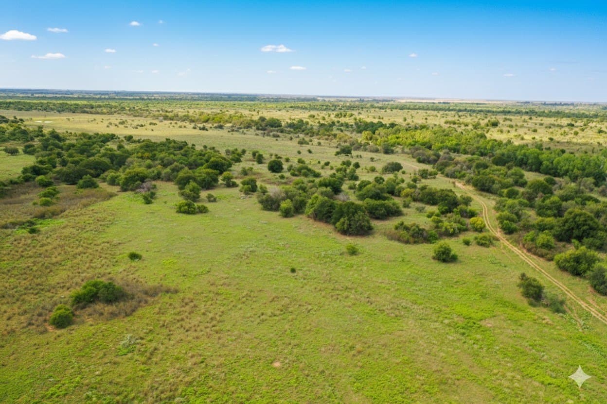 929.5 acres in Wilbarger County - photo 22