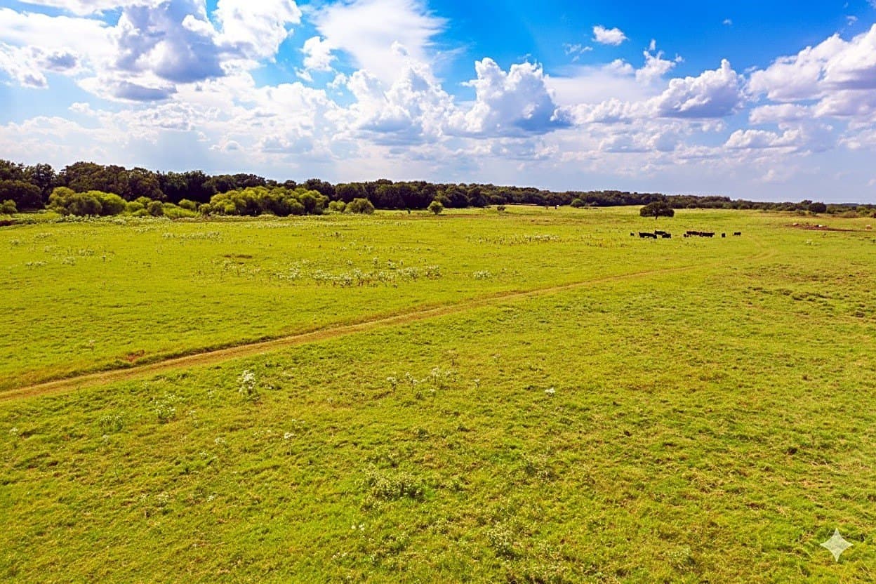 929.5 acres in Wilbarger County - photo 11