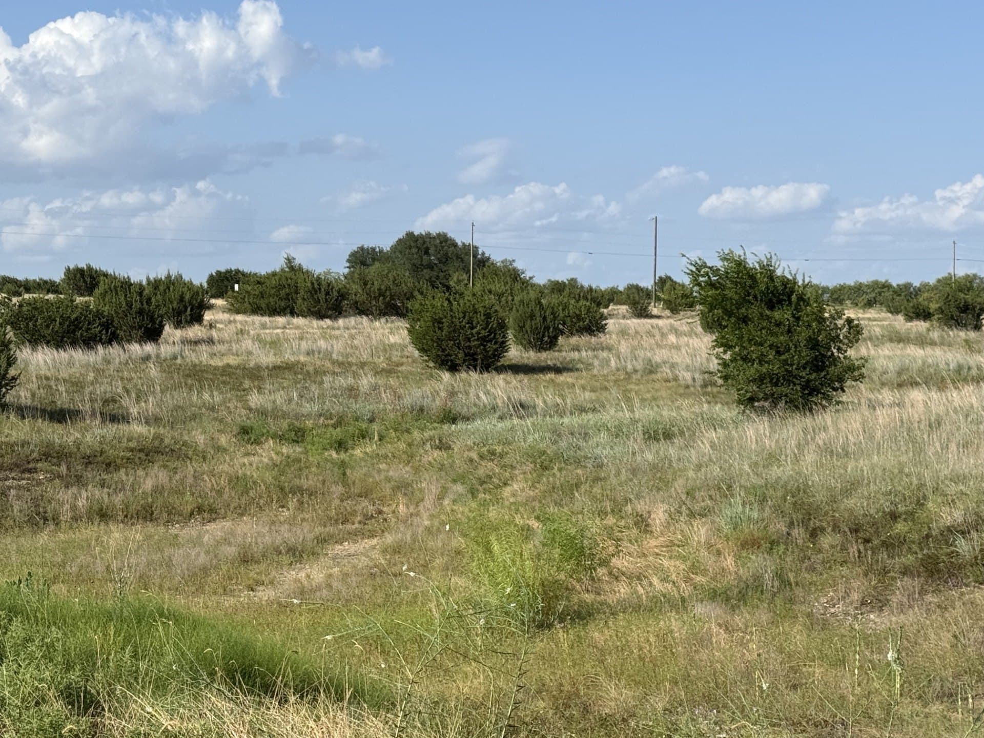 2.5 acres in Hood County gallery image 4