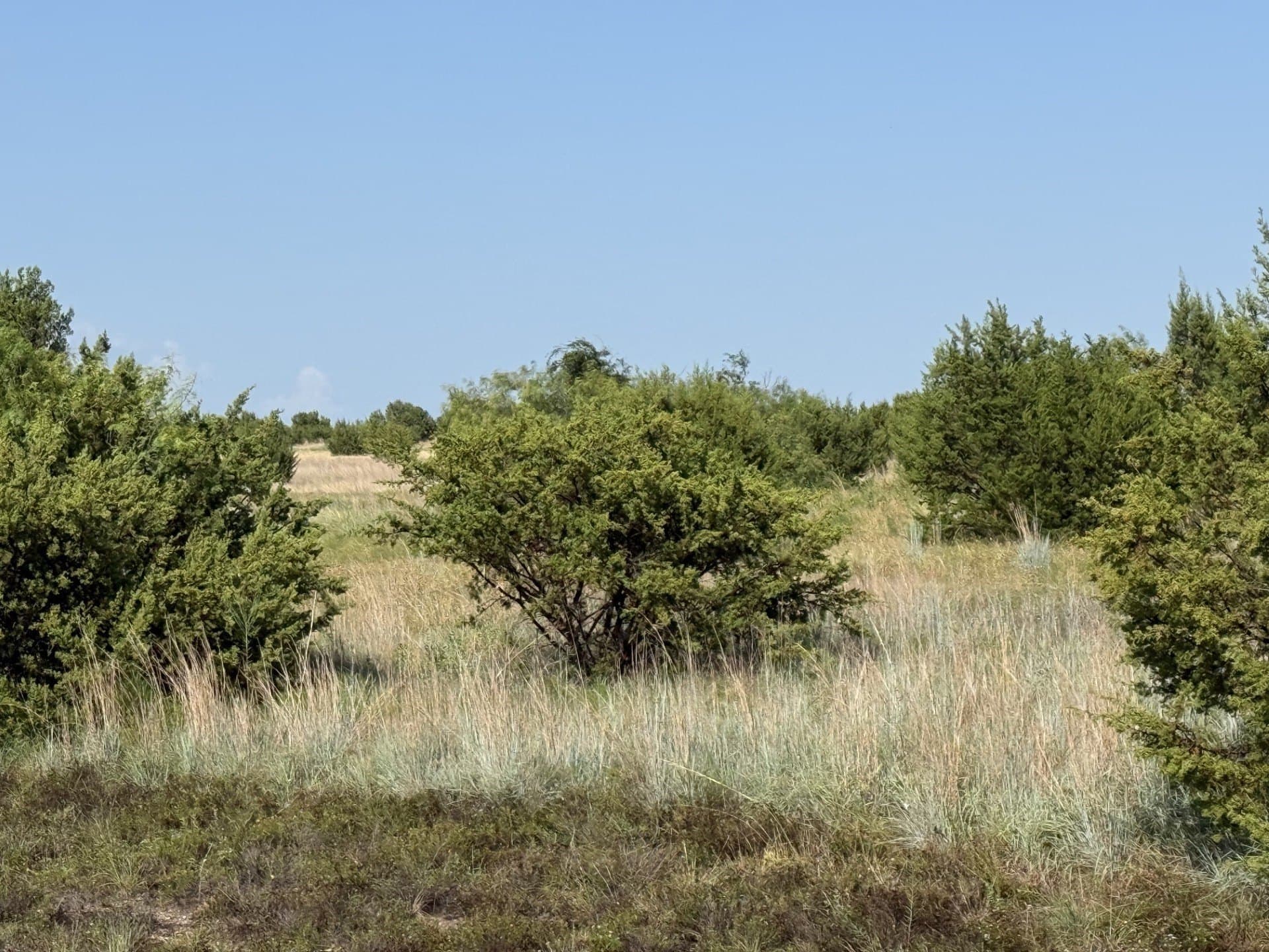 2.5 acres in Hood County gallery image 3