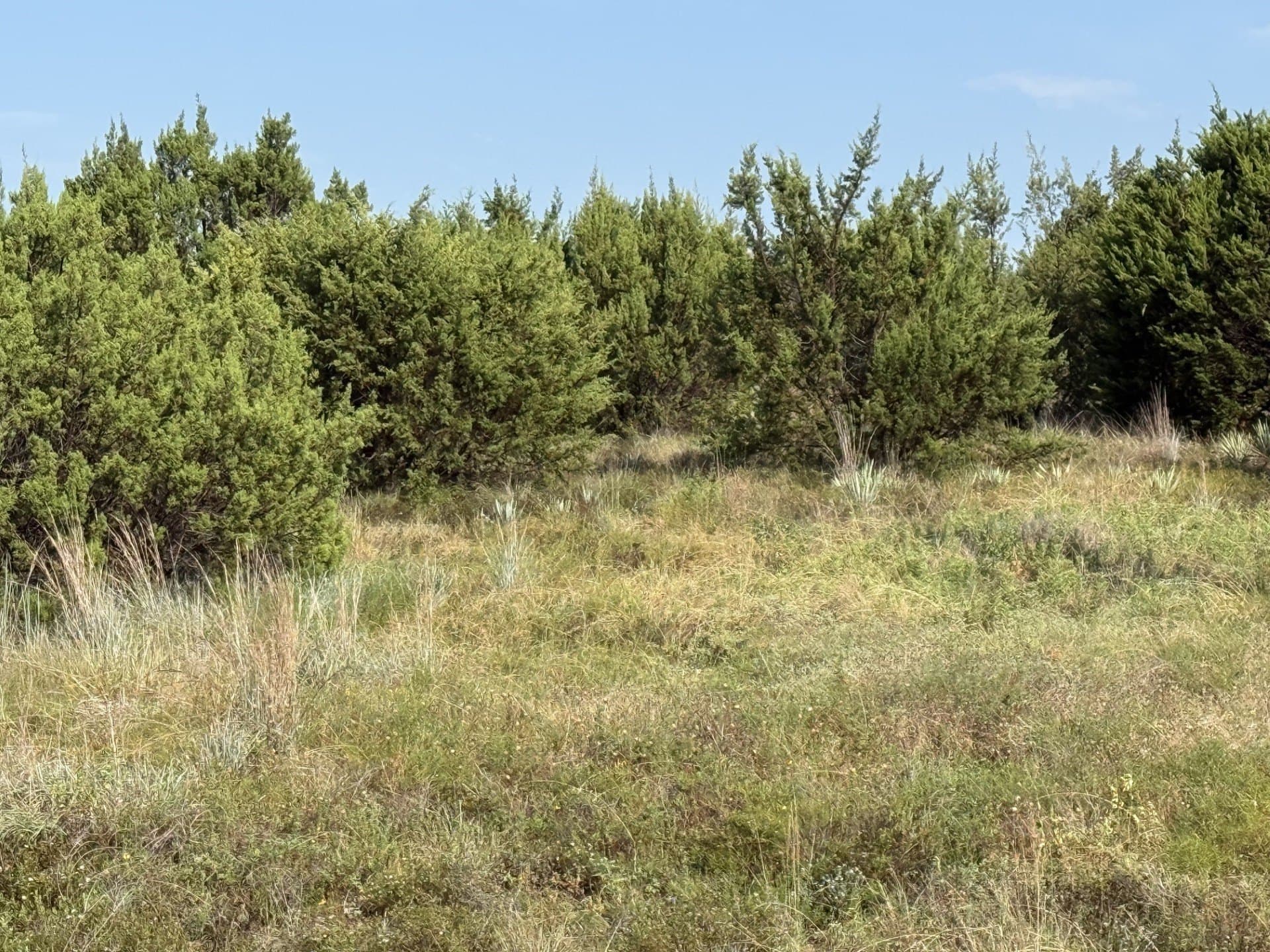 2.5 acres in Hood County featured view